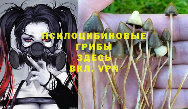 кристаллы Аркадак