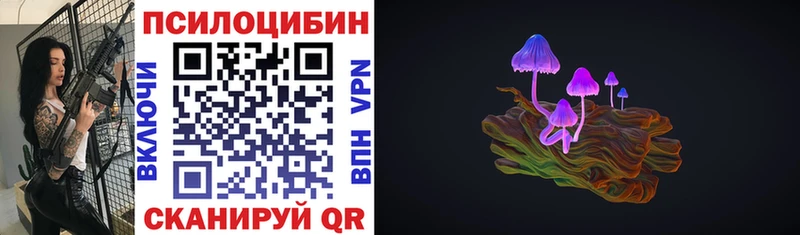 даркнет сайт  OMG зеркало  Псилоцибиновые грибы ЛСД  Пучеж 